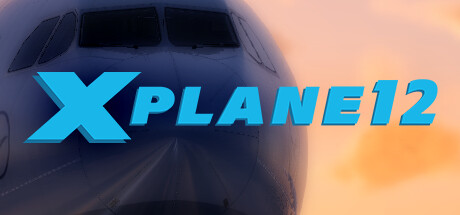 专业飞行模拟12/X-Plane 12（容量：214GB）